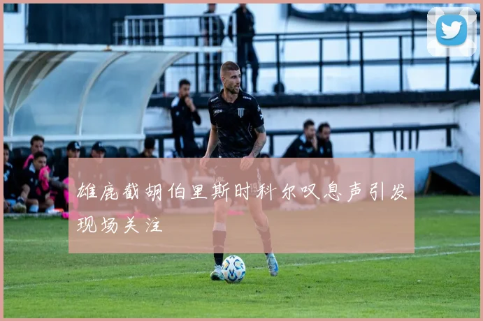雄鹿截胡伯里斯时科尔叹息声引发现场关注